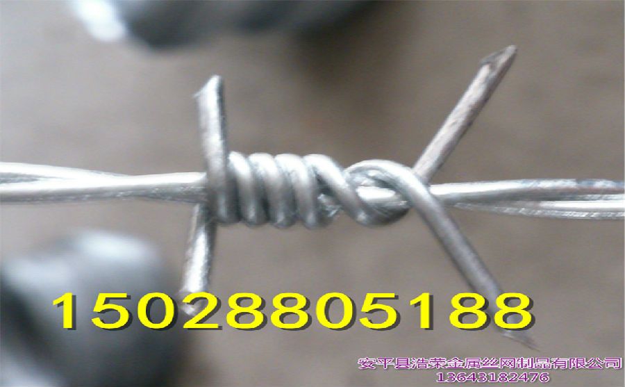 不銹鋼刺繩生產(chǎn)廠家 不銹鋼刺繩生產(chǎn)廠家