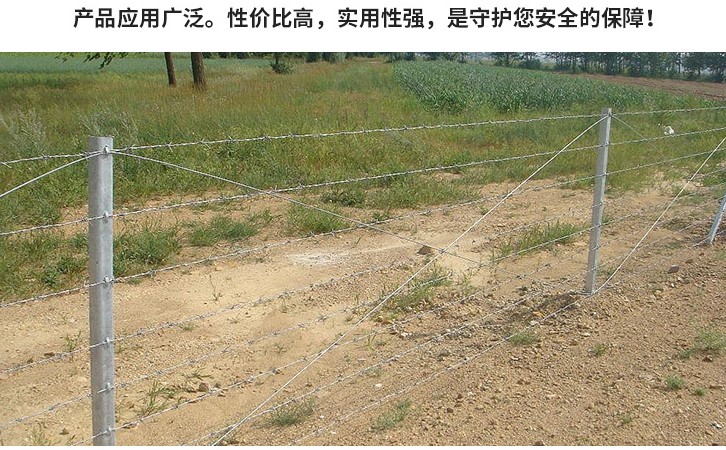 刺鐵絲線 刺鐵絲線