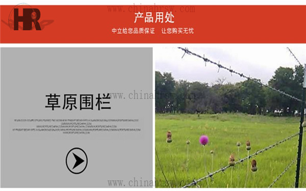 熱鍍鋅刺繩 熱鍍鋅刺繩