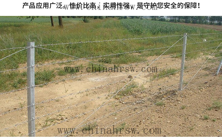 刺繩護欄網(wǎng) 刺繩護欄網(wǎng)