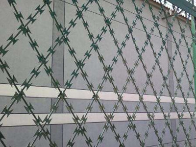 刀片刺網(wǎng) 刀片刺網(wǎng)